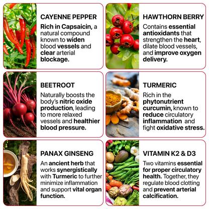 [First Order One-Time Bonus] FREE Circulation Max™